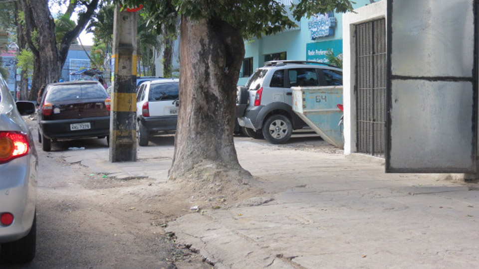Se a árvore fica em área residencial, é dever do morador zelar pela calçada. Todavia, se for em área pública, a prefeitura é a responsável pela manutenção.