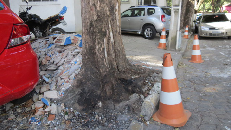 O morador pode solicitar a Emlurb para orientar no processo de reforma da calçada para garantir a preservação da árvore e a acessibilidade do pedestre.
