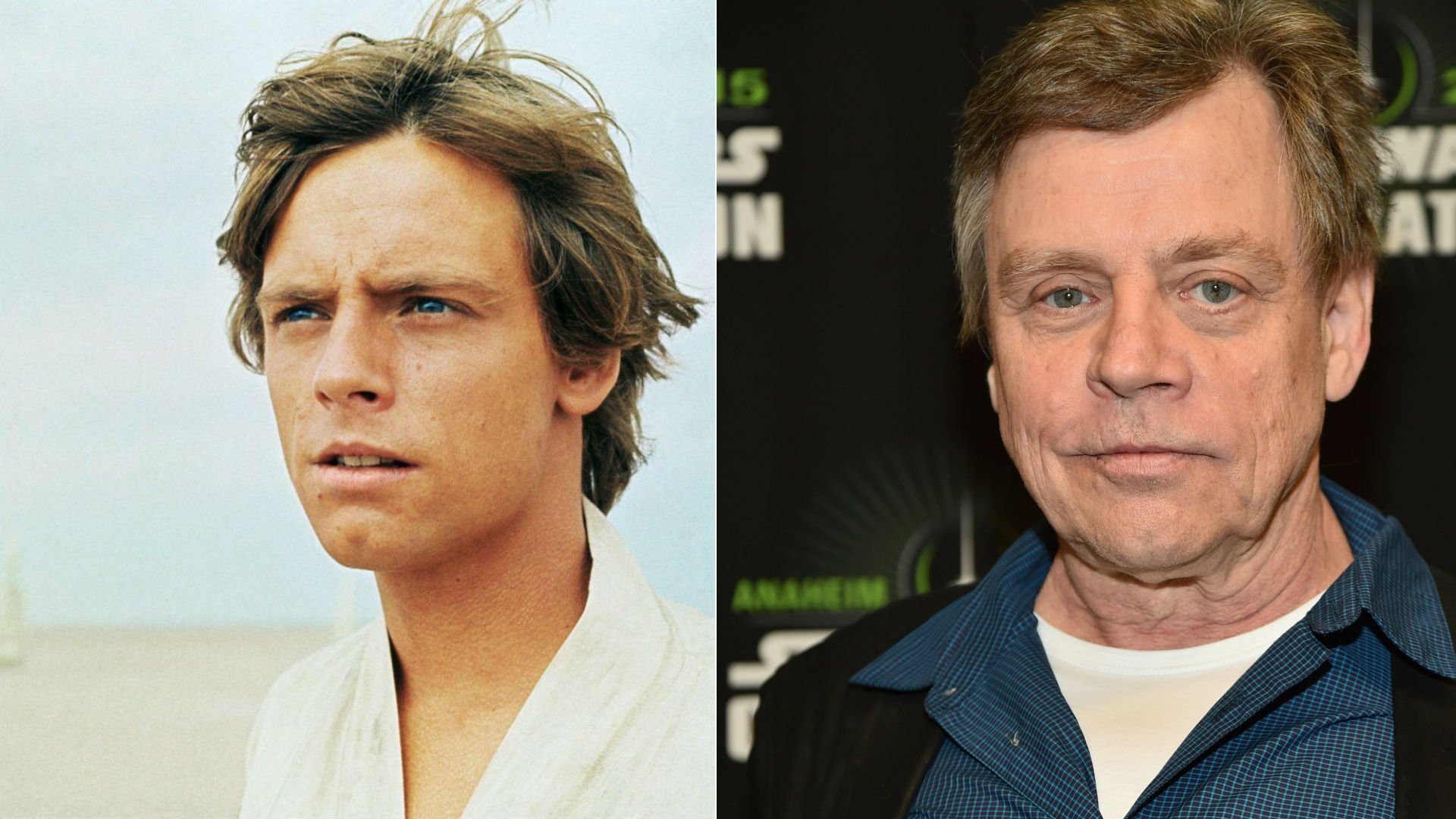 Mark Hamill, o eterno Luke Skywalker, faz aniversário hoje