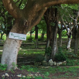 Avisos de consciência ambiental podem ser vistos em toda a ilha